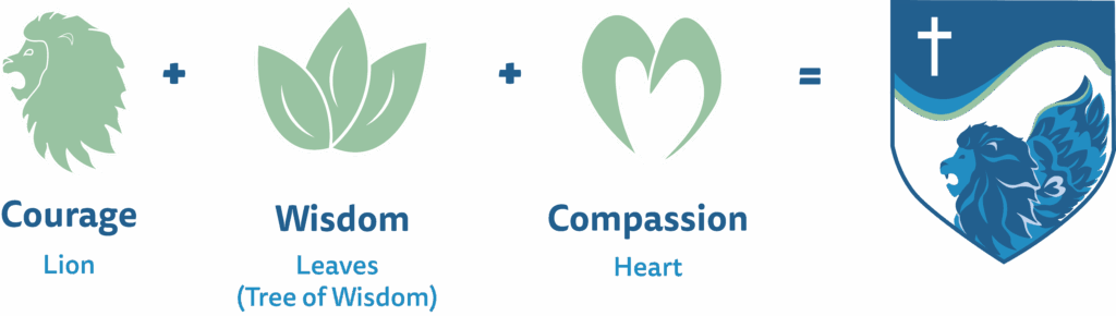 Asset 40