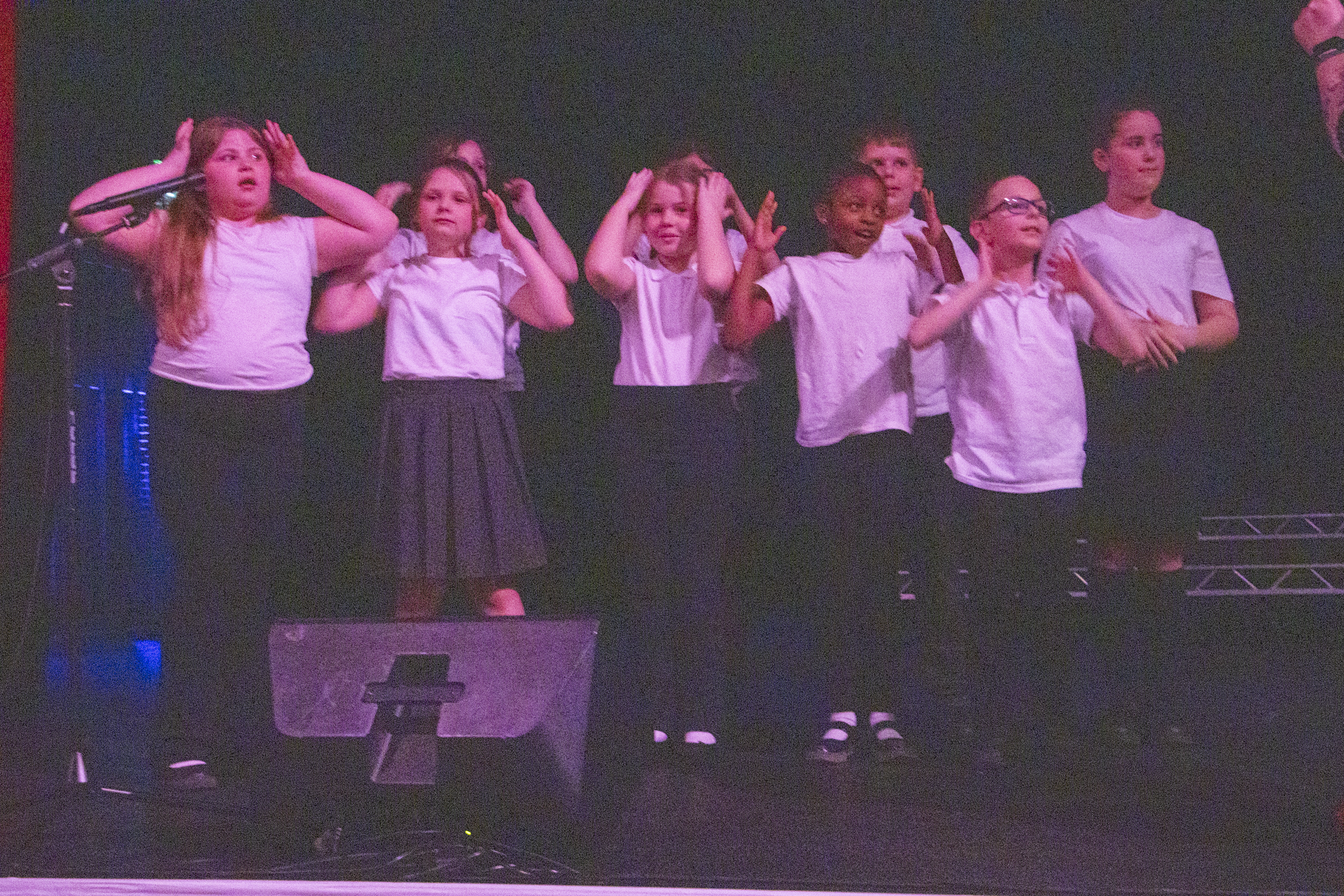 woodville-trust-concert-43