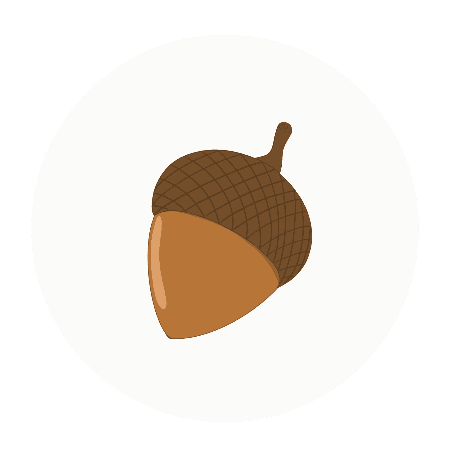 Acorns